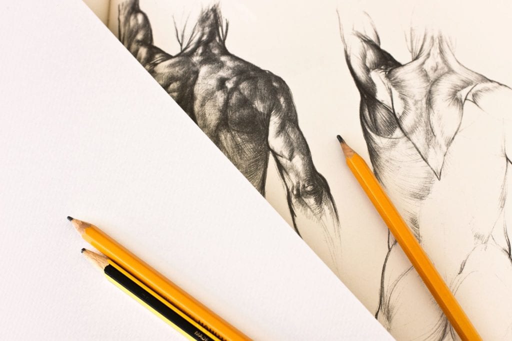 Fine art drawing of a human body anatomy with pencils and sketch book