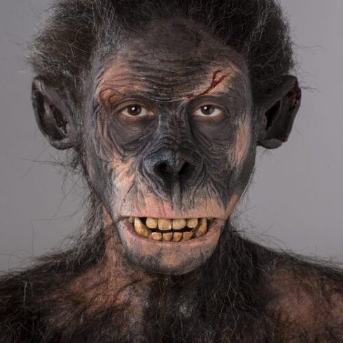 Prosthetics by Emma Hilton Gallery Image