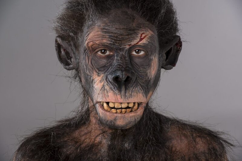 Prosthetics by Emma Hilton Gallery Image
