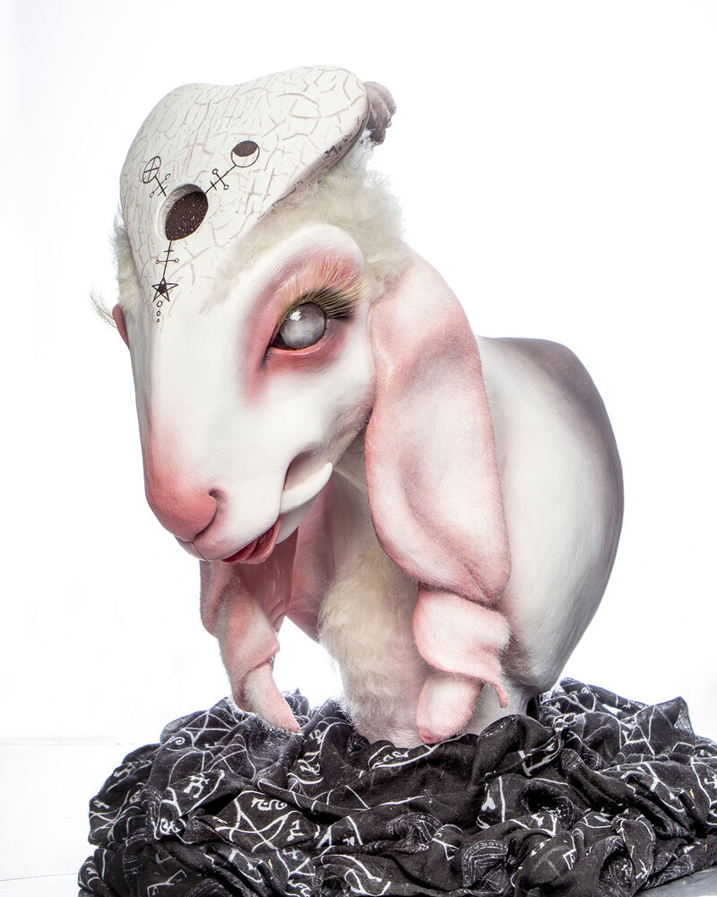 Creature Design Lisa Taylor Gallery Image