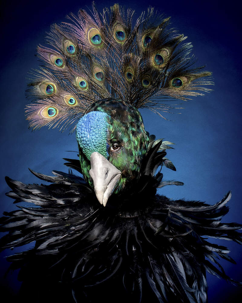 Prosthetics by Lian Ashton Gallery Image