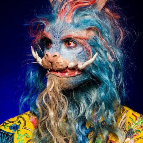 Prosthetics by Penelope Asselin Gallery Image