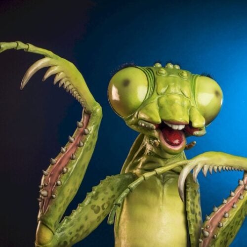 Creature Design by Clare Hill Gallery image